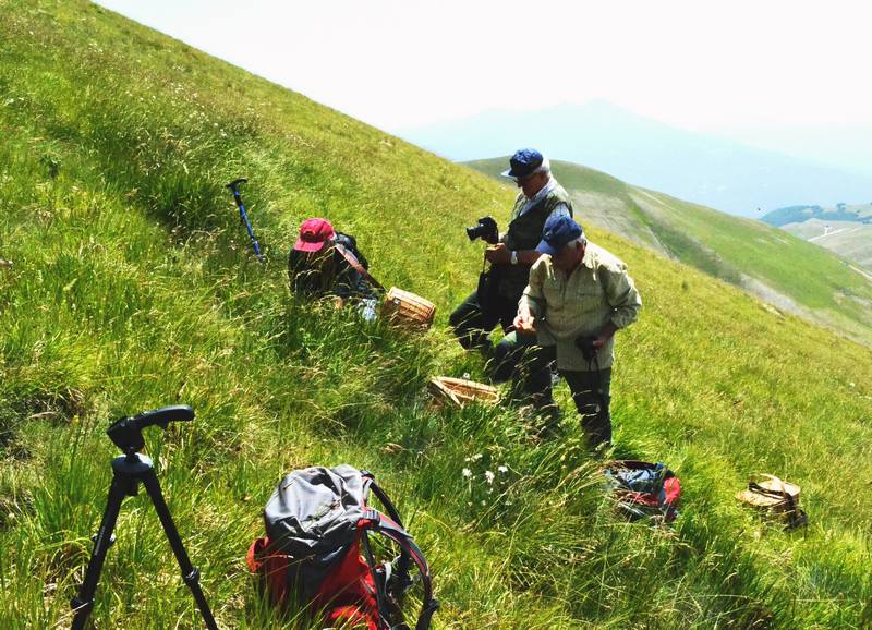 in alta quota nei miei Sibillini